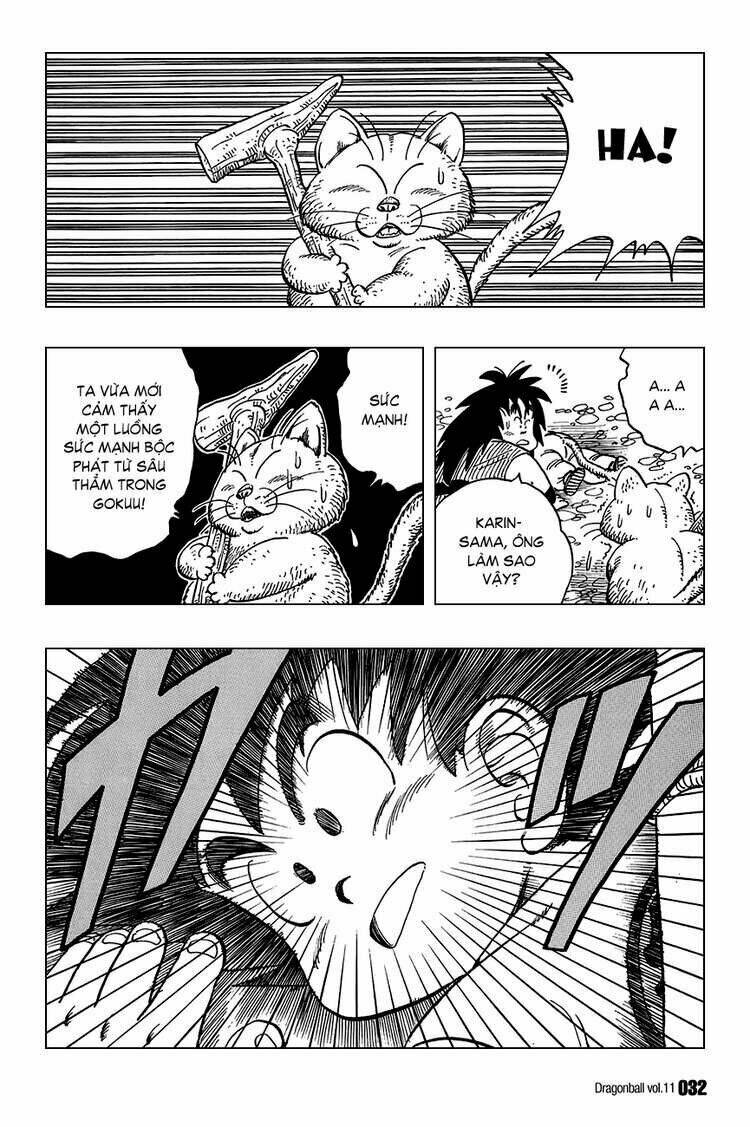 Dragon Ball – Bảy Viên Ngọc Rồng Chapter 151 - Trang 2