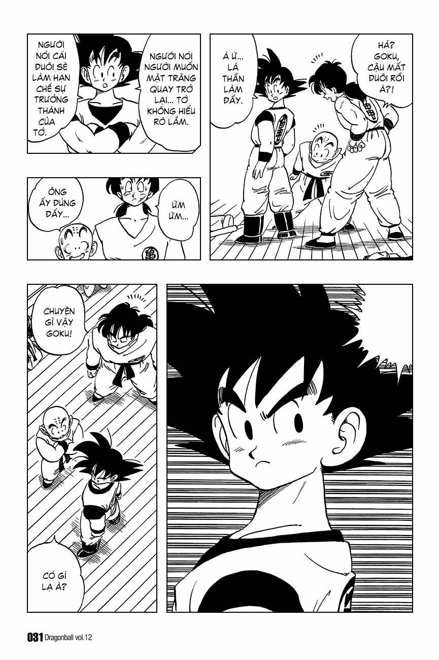 Dragon Ball – Bảy Viên Ngọc Rồng Chapter 166 - Trang 2