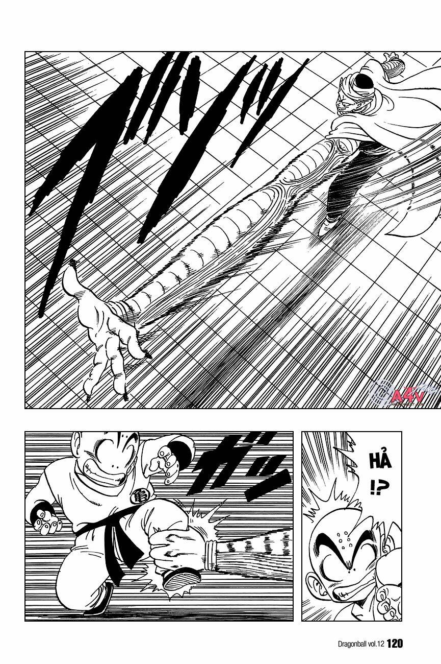 Dragon Ball – Bảy Viên Ngọc Rồng Chapter 173 - Trang 2