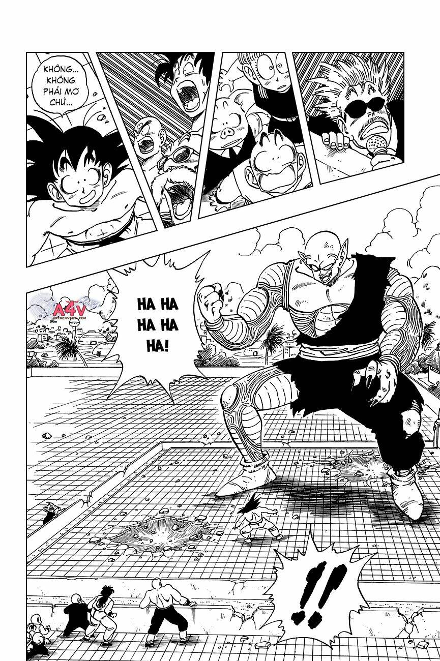 Dragon Ball – Bảy Viên Ngọc Rồng Chapter 186 - Trang 2