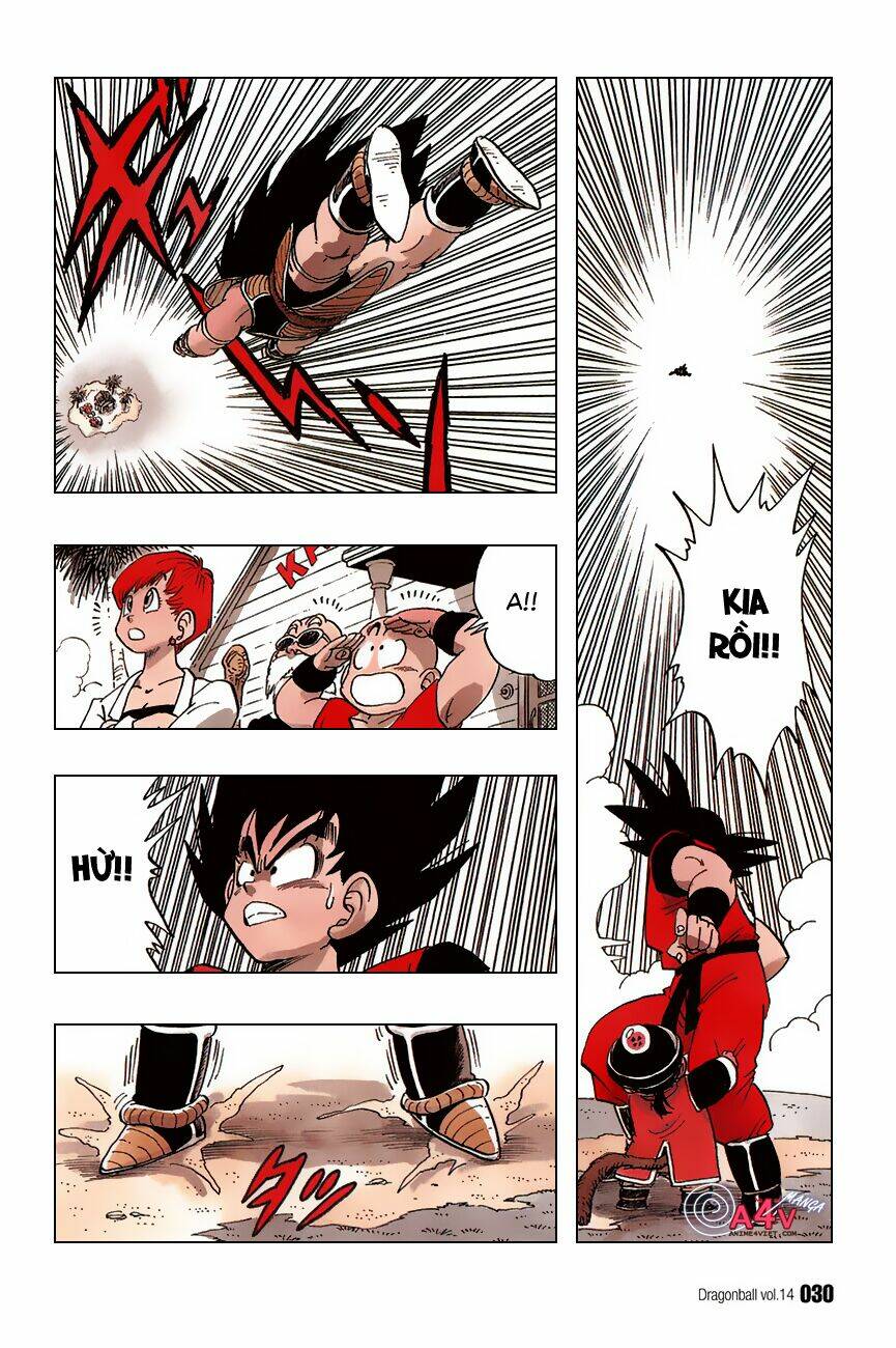 Dragon Ball – Bảy Viên Ngọc Rồng Chapter 196 - Trang 2