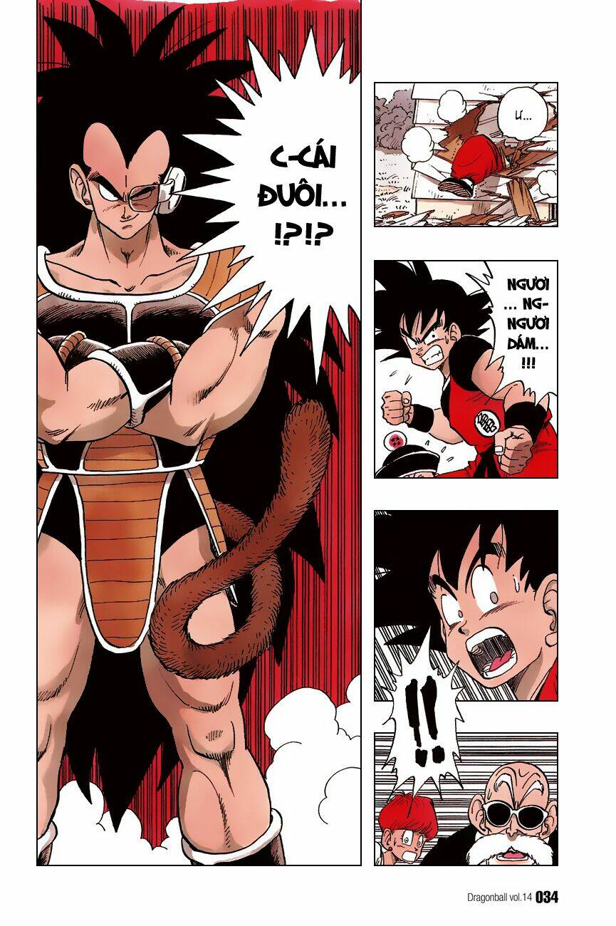 Dragon Ball – Bảy Viên Ngọc Rồng Chapter 196 - Trang 2