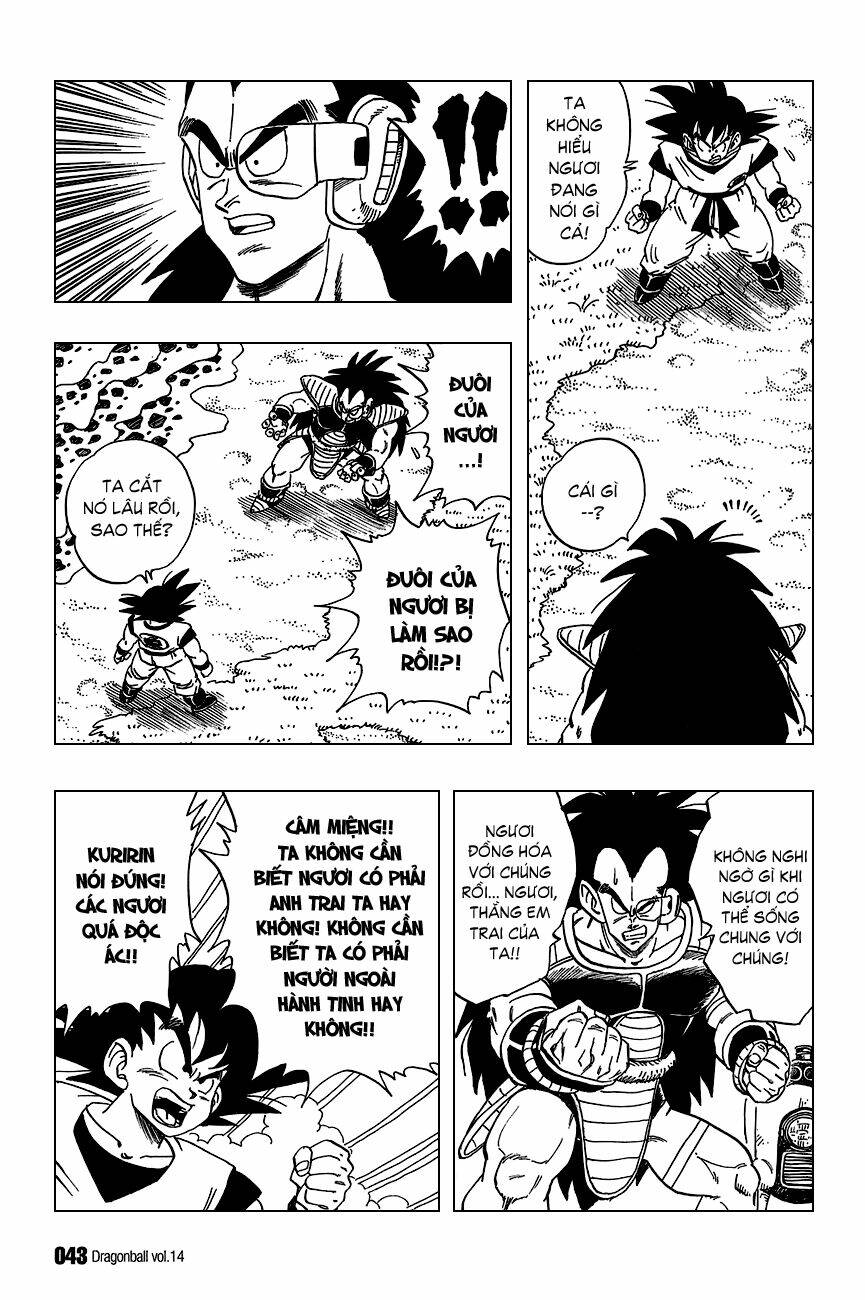Dragon Ball – Bảy Viên Ngọc Rồng Chapter 197 - Trang 2