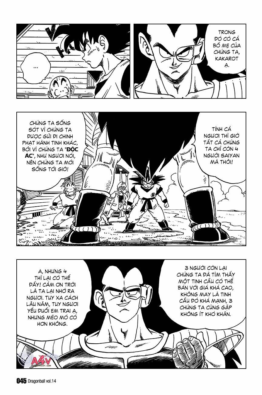 Dragon Ball – Bảy Viên Ngọc Rồng Chapter 197 - Trang 2