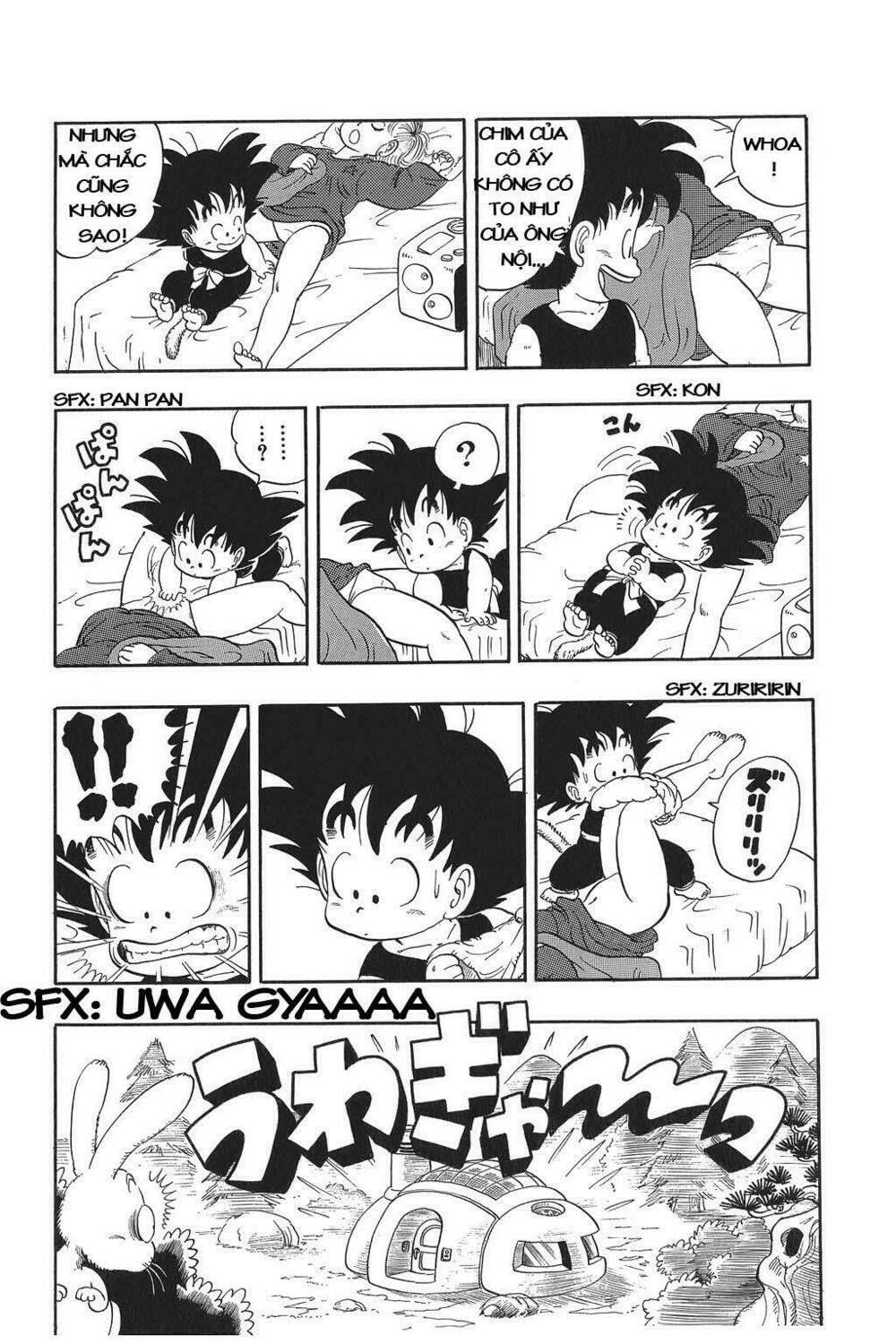 Dragon Ball – Bảy Viên Ngọc Rồng Chapter 2 - Trang 2