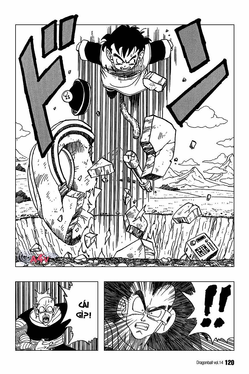 Dragon Ball – Bảy Viên Ngọc Rồng Chapter 203 - Trang 2