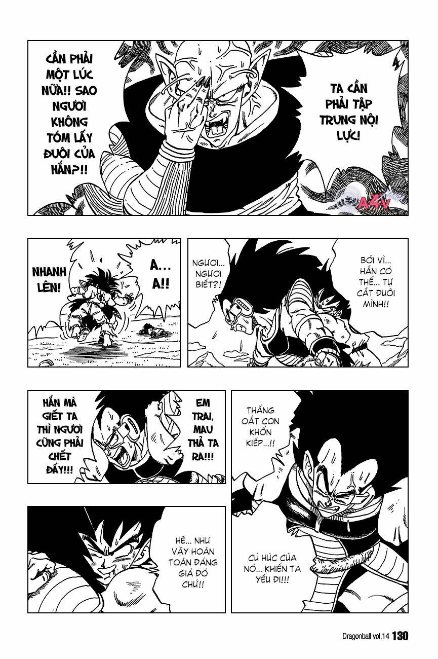 Dragon Ball – Bảy Viên Ngọc Rồng Chapter 203 - Trang 2