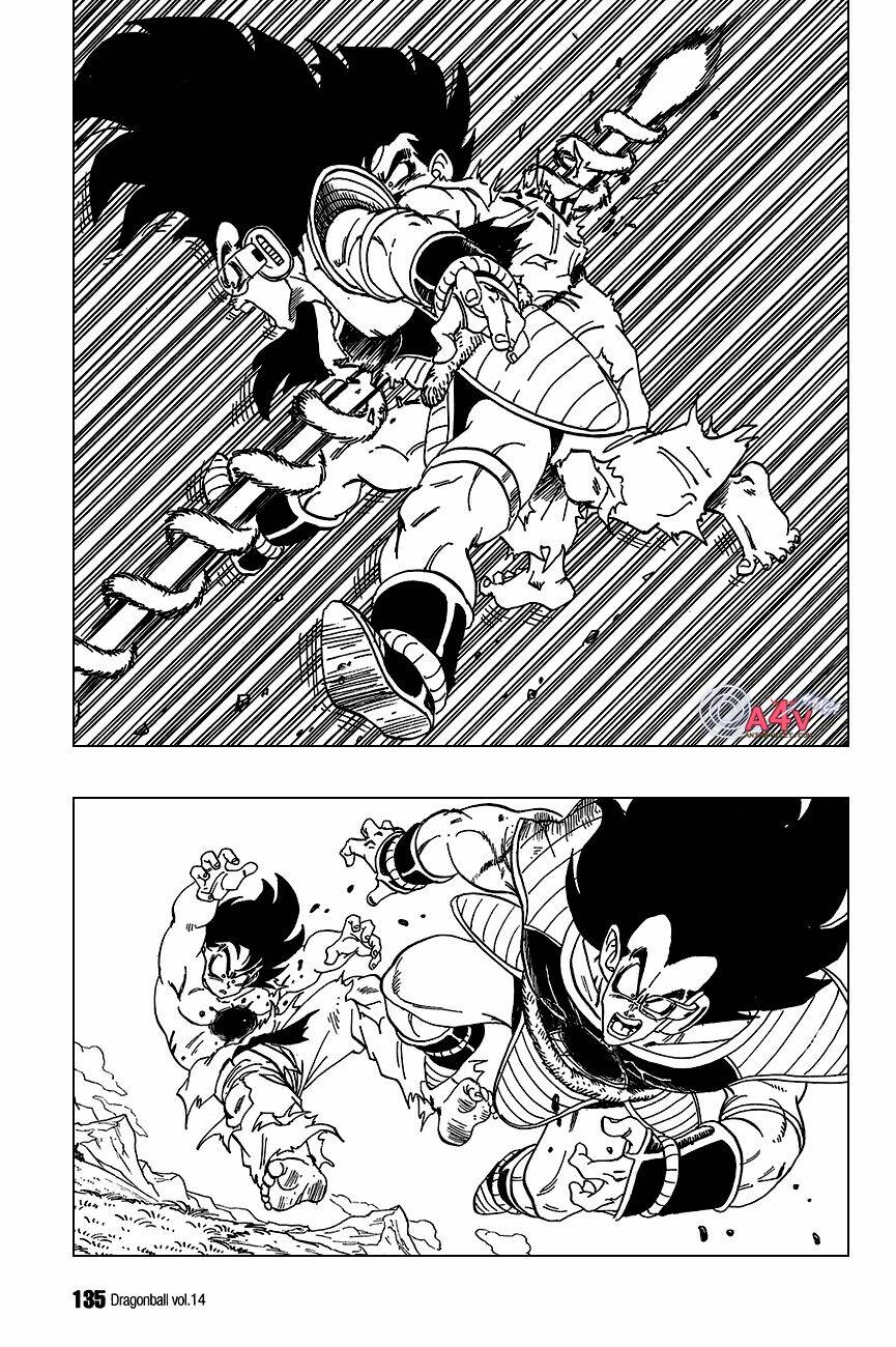 Dragon Ball – Bảy Viên Ngọc Rồng Chapter 204 - Trang 2