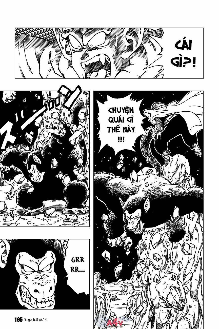Dragon Ball – Bảy Viên Ngọc Rồng Chapter 208 - Trang 2