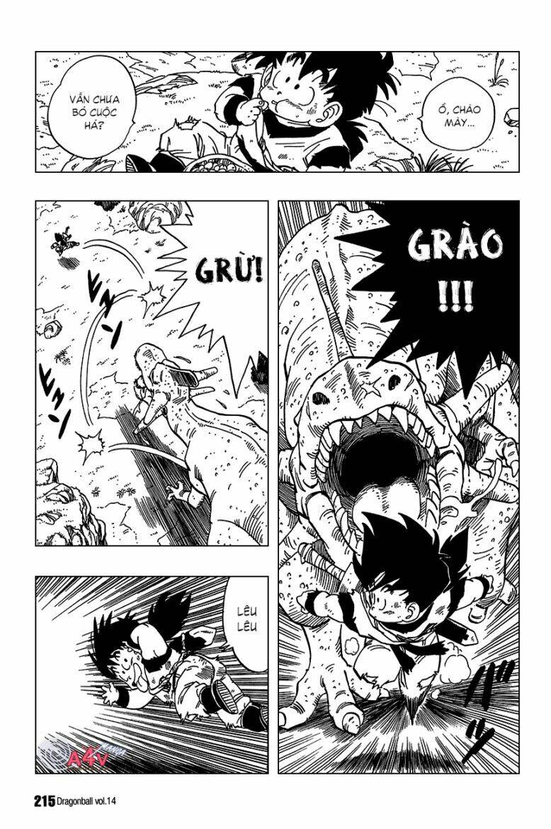 Dragon Ball – Bảy Viên Ngọc Rồng Chapter 209 - Trang 2