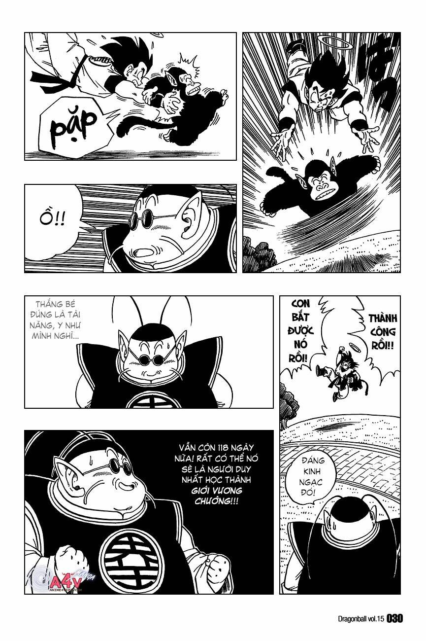 Dragon Ball – Bảy Viên Ngọc Rồng Chapter 211 - Trang 2