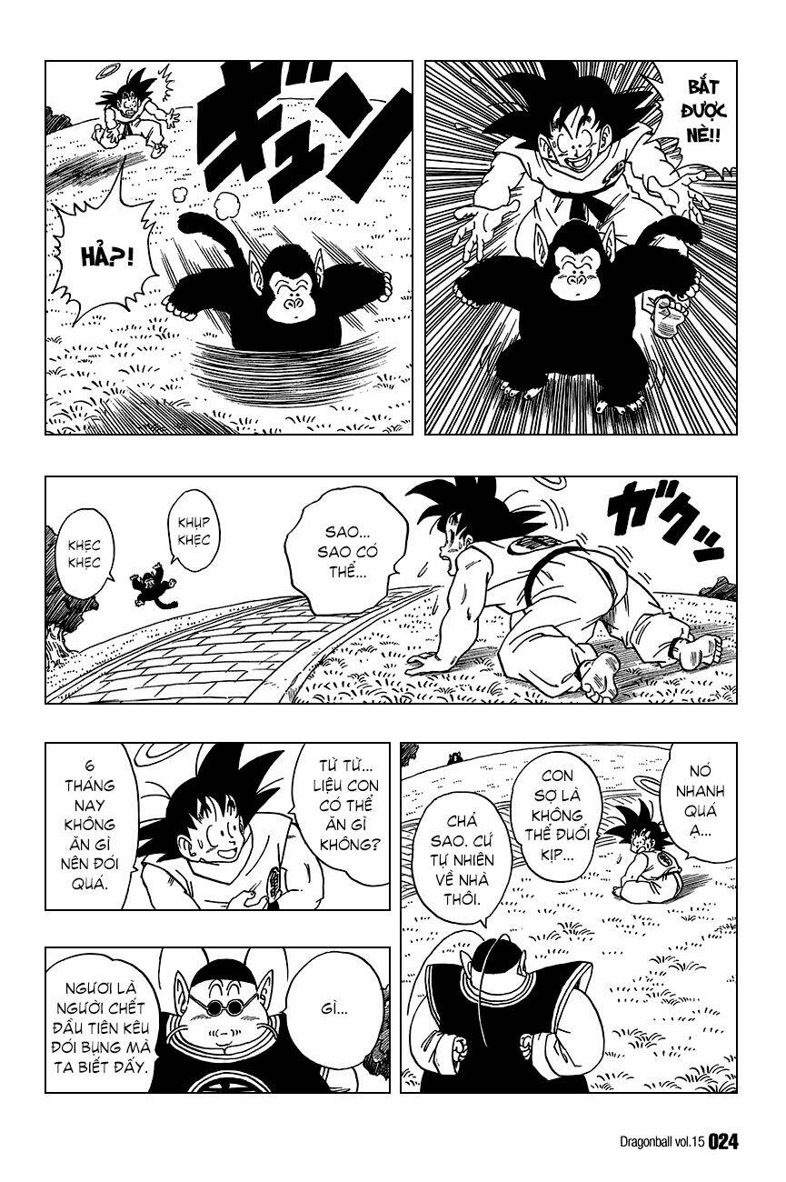 Dragon Ball – Bảy Viên Ngọc Rồng Chapter 211 - Trang 2
