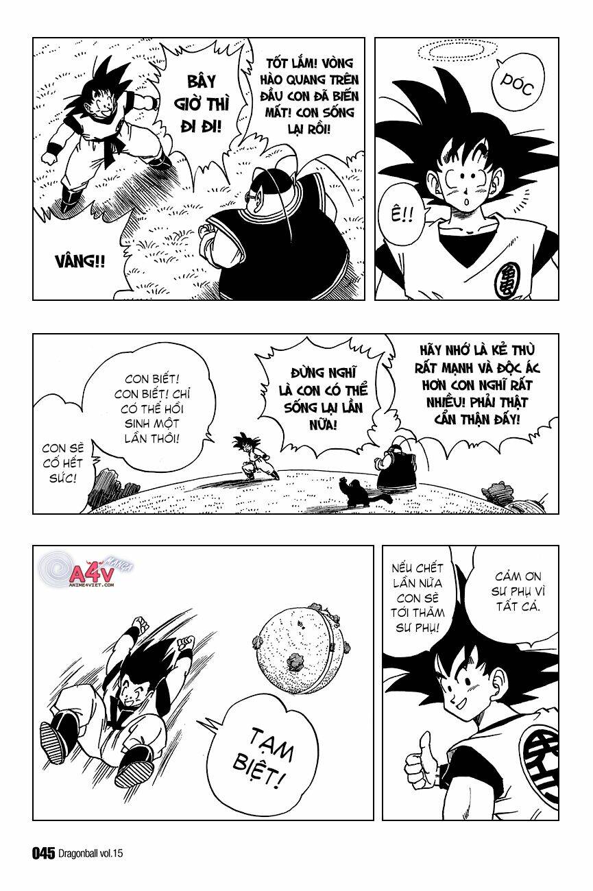 Dragon Ball – Bảy Viên Ngọc Rồng Chapter 212 - Trang 2
