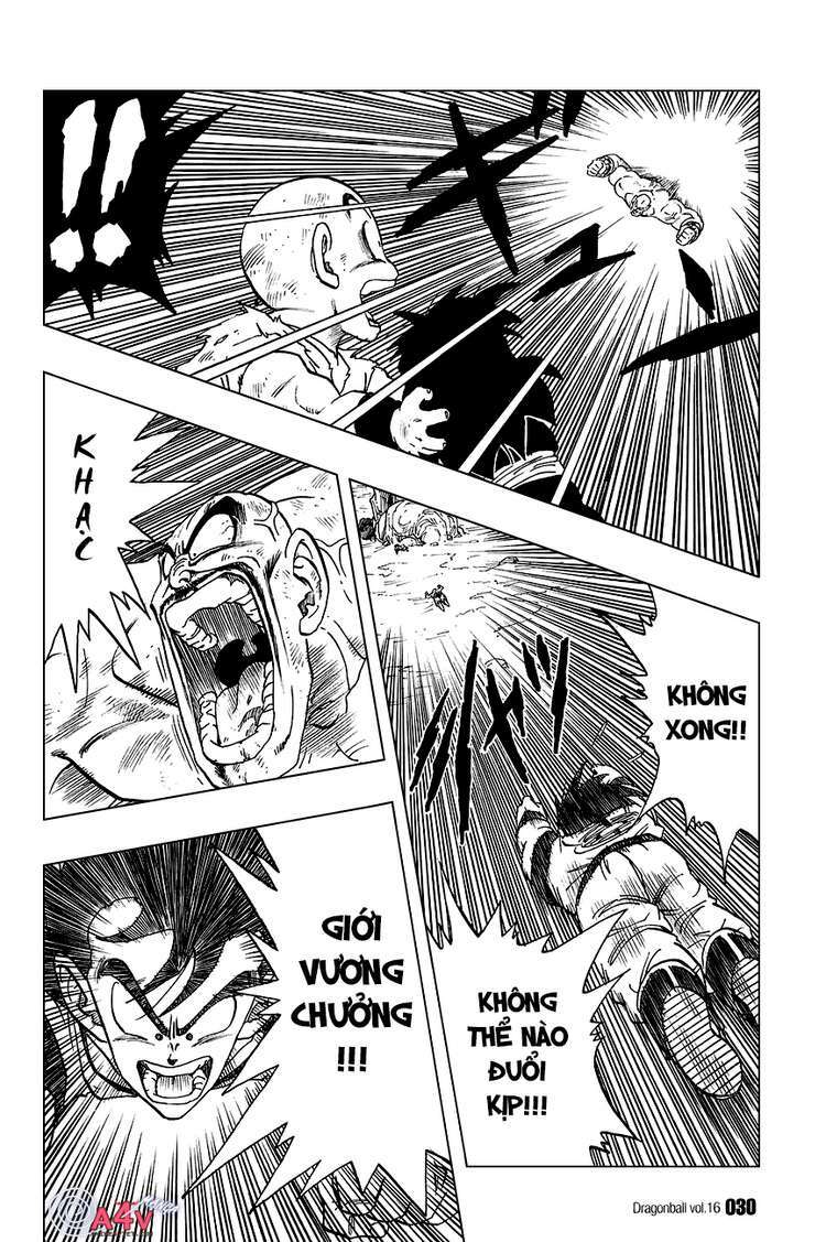 Dragon Ball – Bảy Viên Ngọc Rồng Chapter 226 - Trang 2