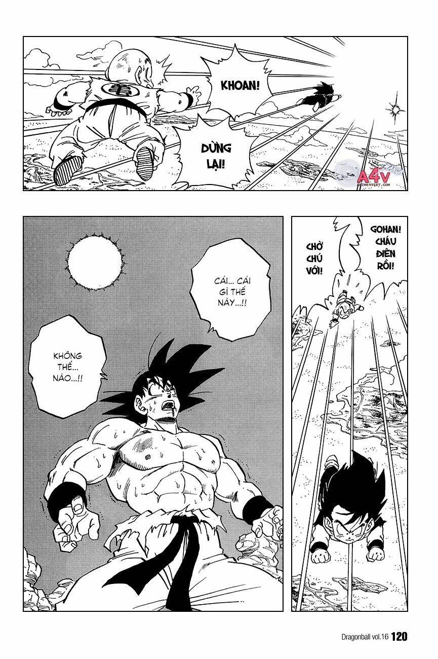 Dragon Ball – Bảy Viên Ngọc Rồng Chapter 233 - Trang 2