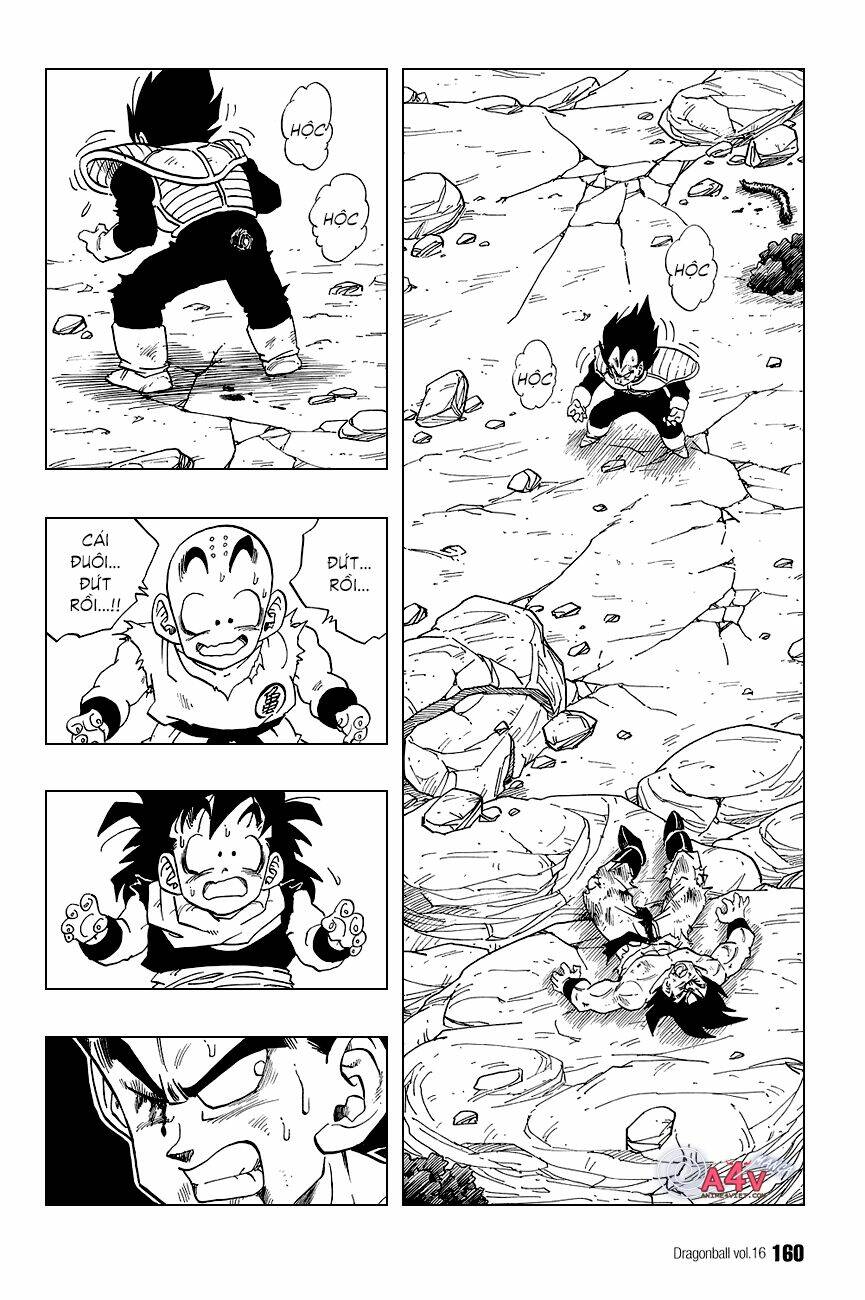 Dragon Ball – Bảy Viên Ngọc Rồng Chapter 236 - Trang 2