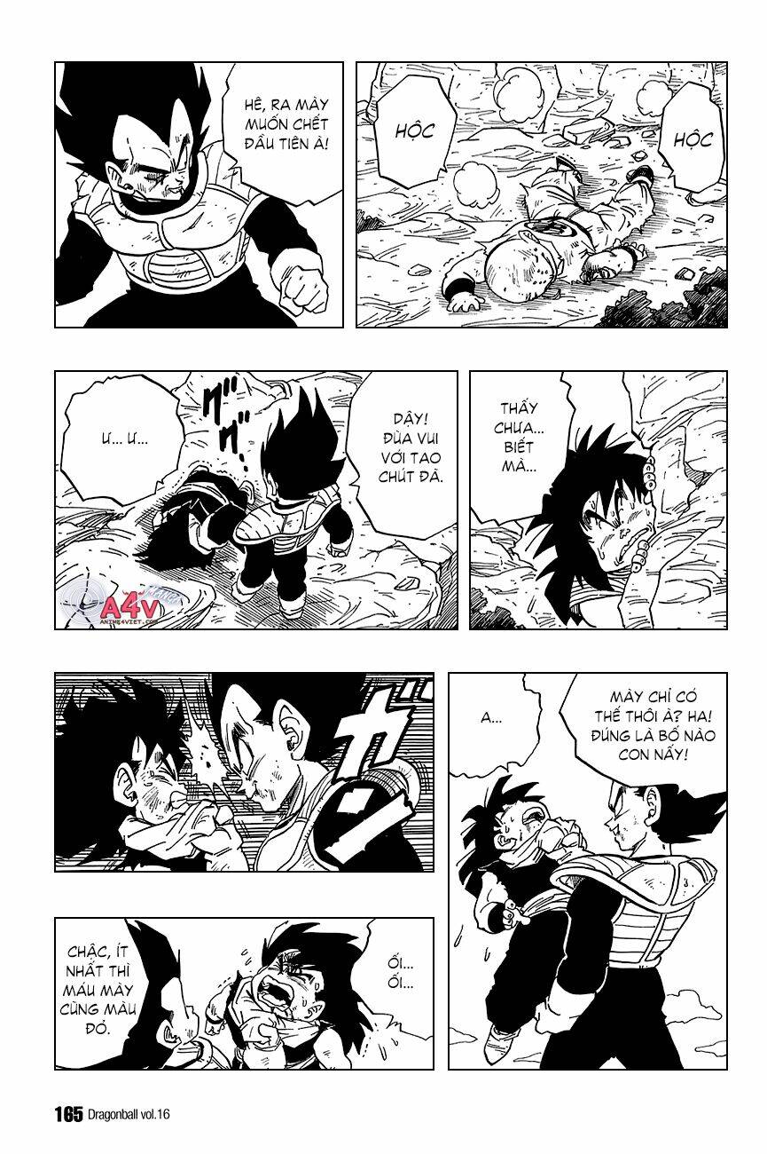 Dragon Ball – Bảy Viên Ngọc Rồng Chapter 236 - Trang 2