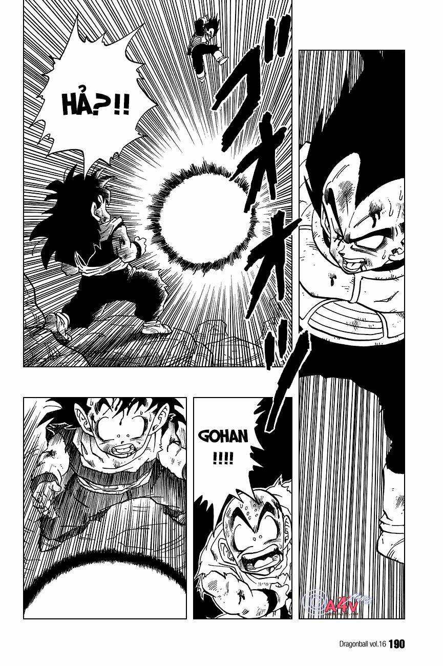 Dragon Ball – Bảy Viên Ngọc Rồng Chapter 238 - Trang 2