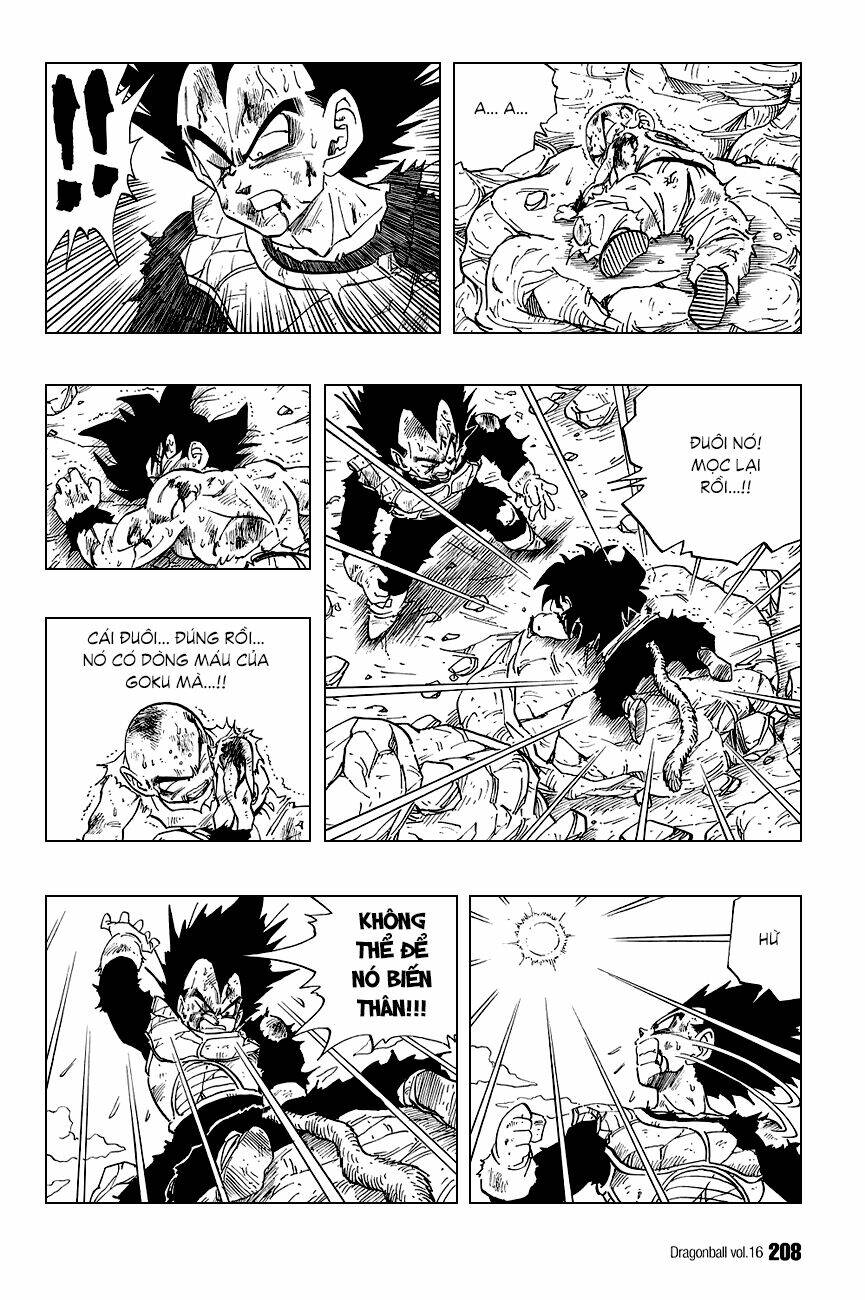 Dragon Ball – Bảy Viên Ngọc Rồng Chapter 239 - Trang 2