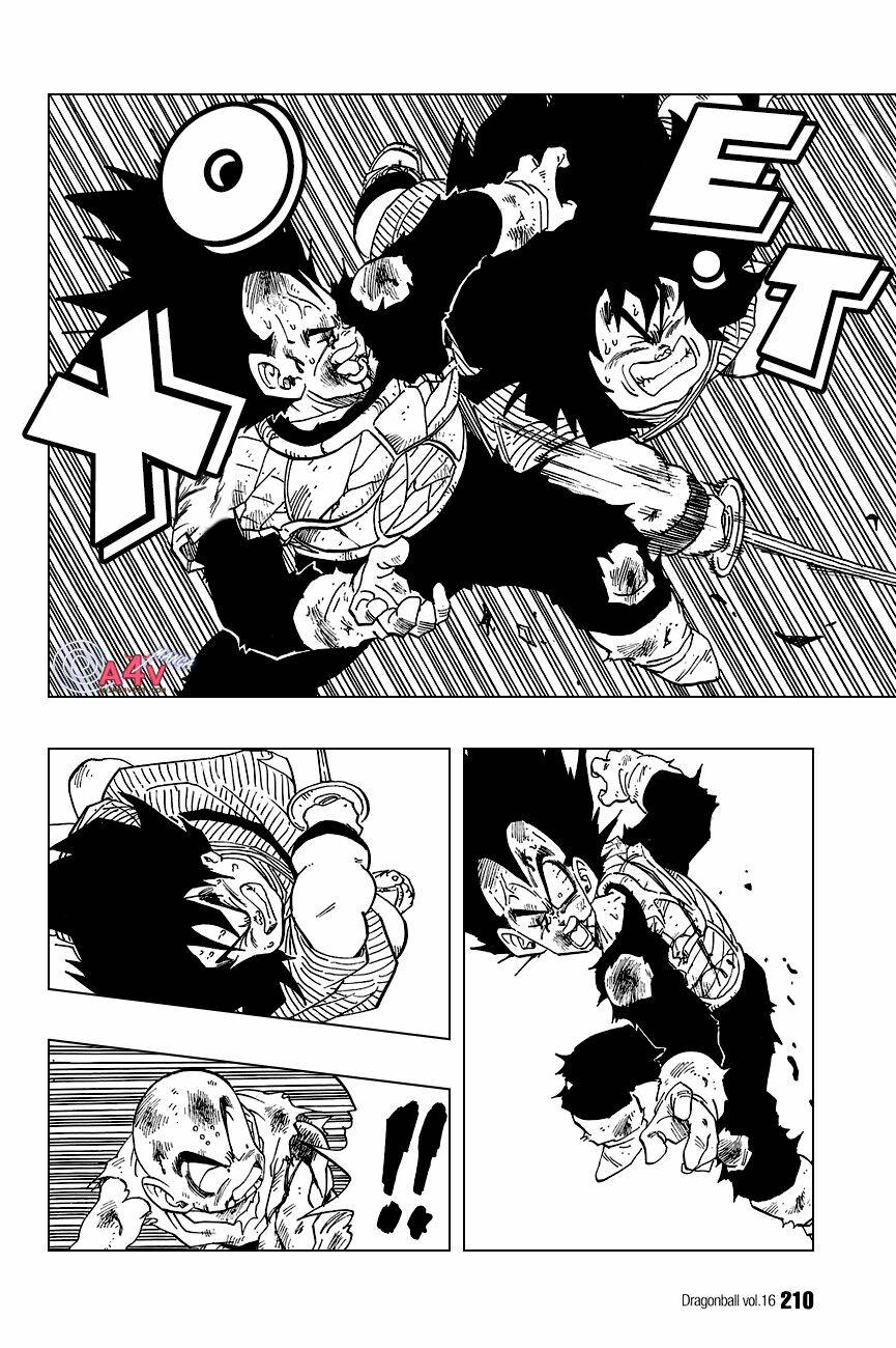 Dragon Ball – Bảy Viên Ngọc Rồng Chapter 239 - Trang 2