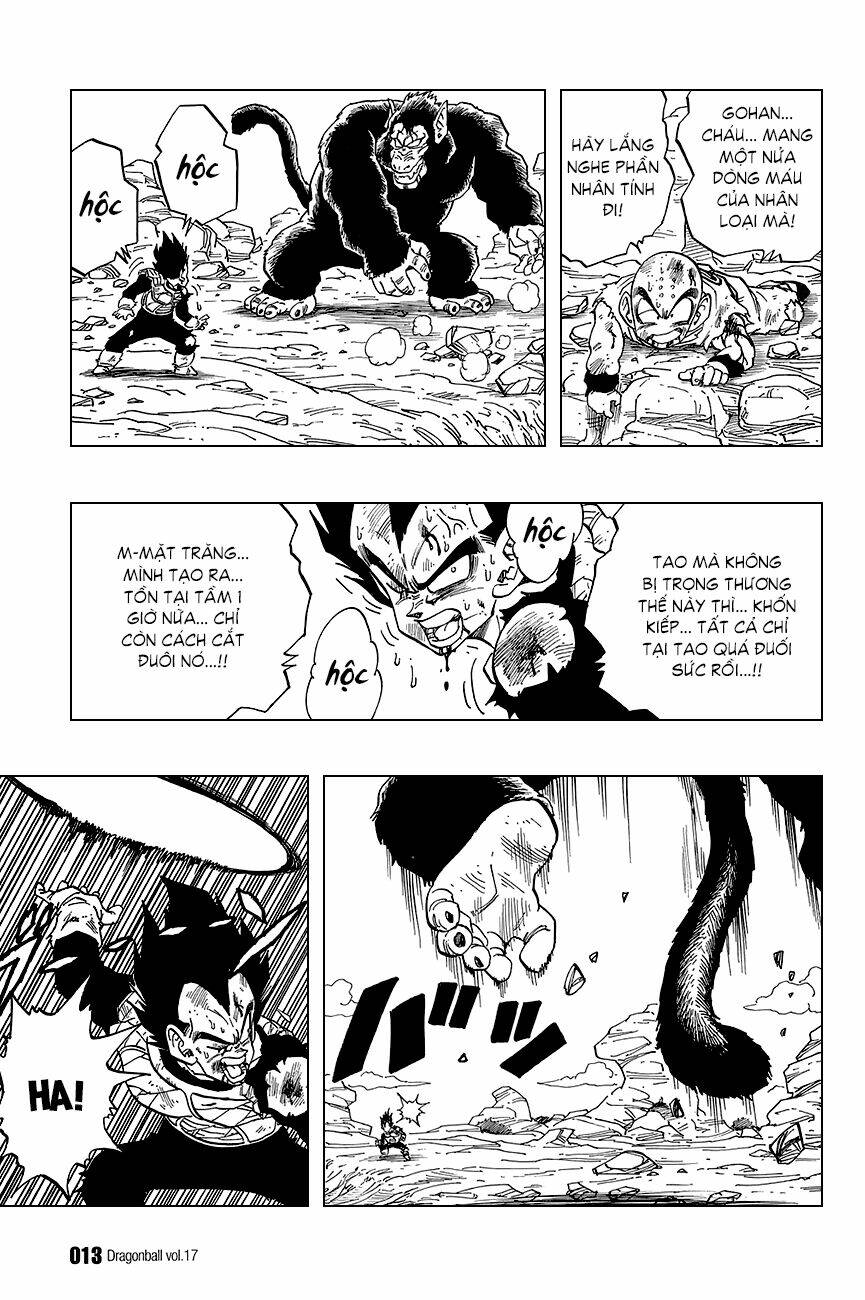 Dragon Ball – Bảy Viên Ngọc Rồng Chapter 240 - Trang 2