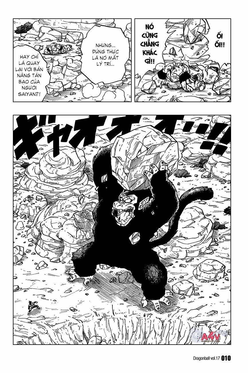 Dragon Ball – Bảy Viên Ngọc Rồng Chapter 240 - Trang 2
