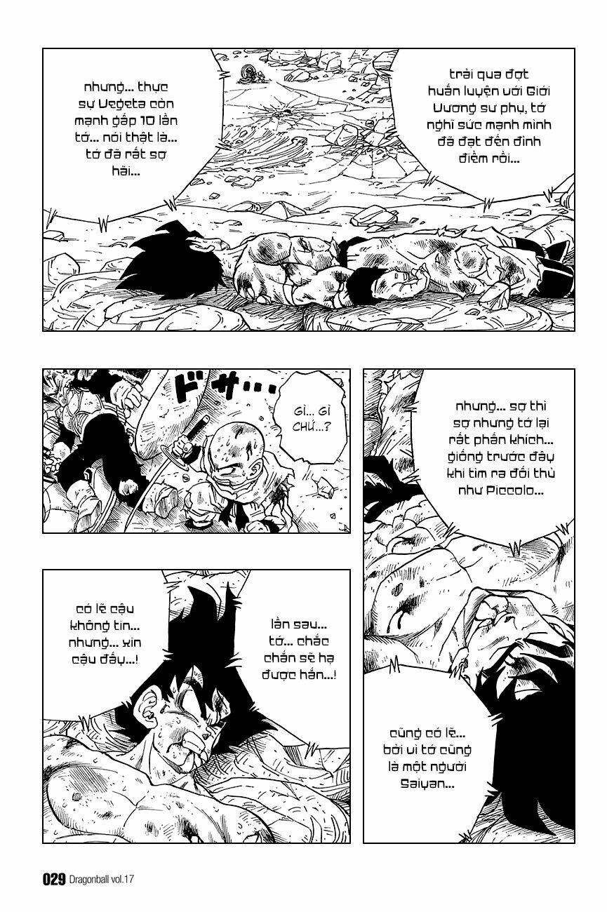 Dragon Ball – Bảy Viên Ngọc Rồng Chapter 241 - Trang 2