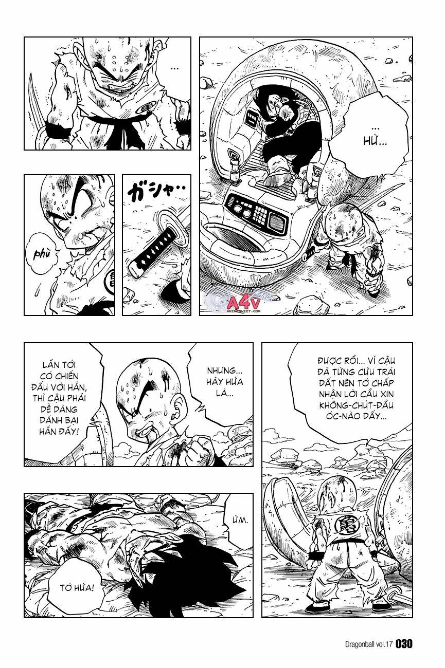 Dragon Ball – Bảy Viên Ngọc Rồng Chapter 241 - Trang 2