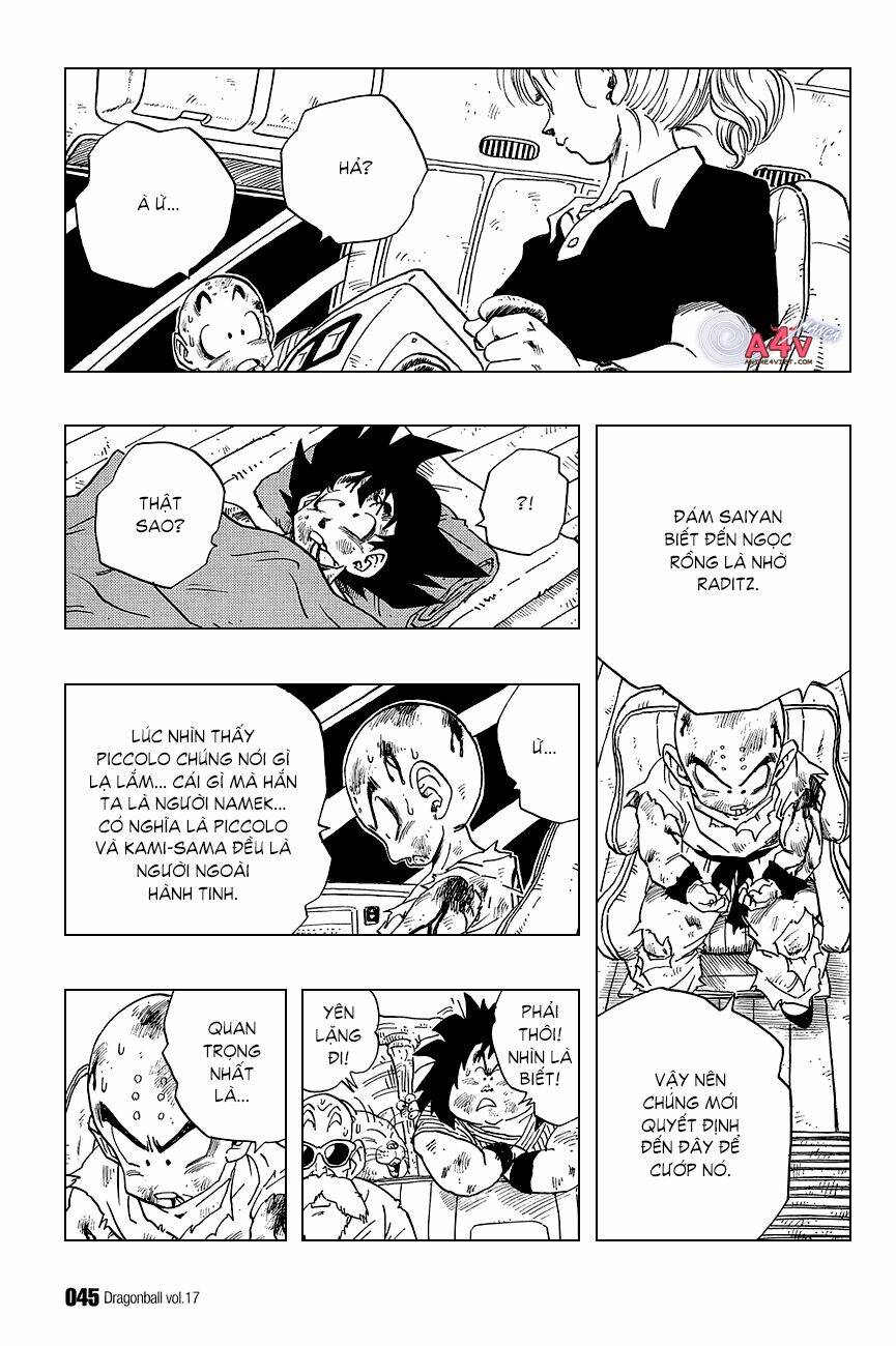 Dragon Ball – Bảy Viên Ngọc Rồng Chapter 242 - Trang 2