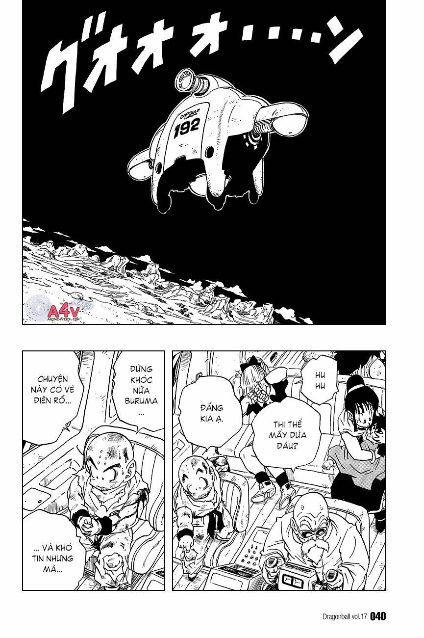 Dragon Ball – Bảy Viên Ngọc Rồng Chapter 242 - Trang 2