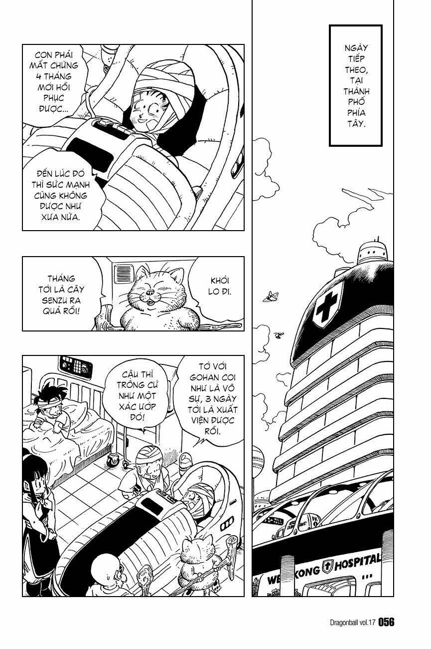 Dragon Ball – Bảy Viên Ngọc Rồng Chapter 243 - Trang 2