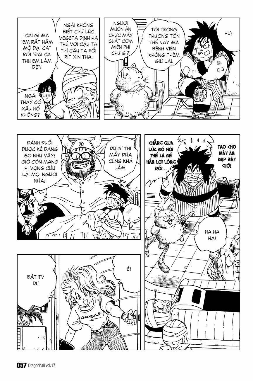 Dragon Ball – Bảy Viên Ngọc Rồng Chapter 243 - Trang 2