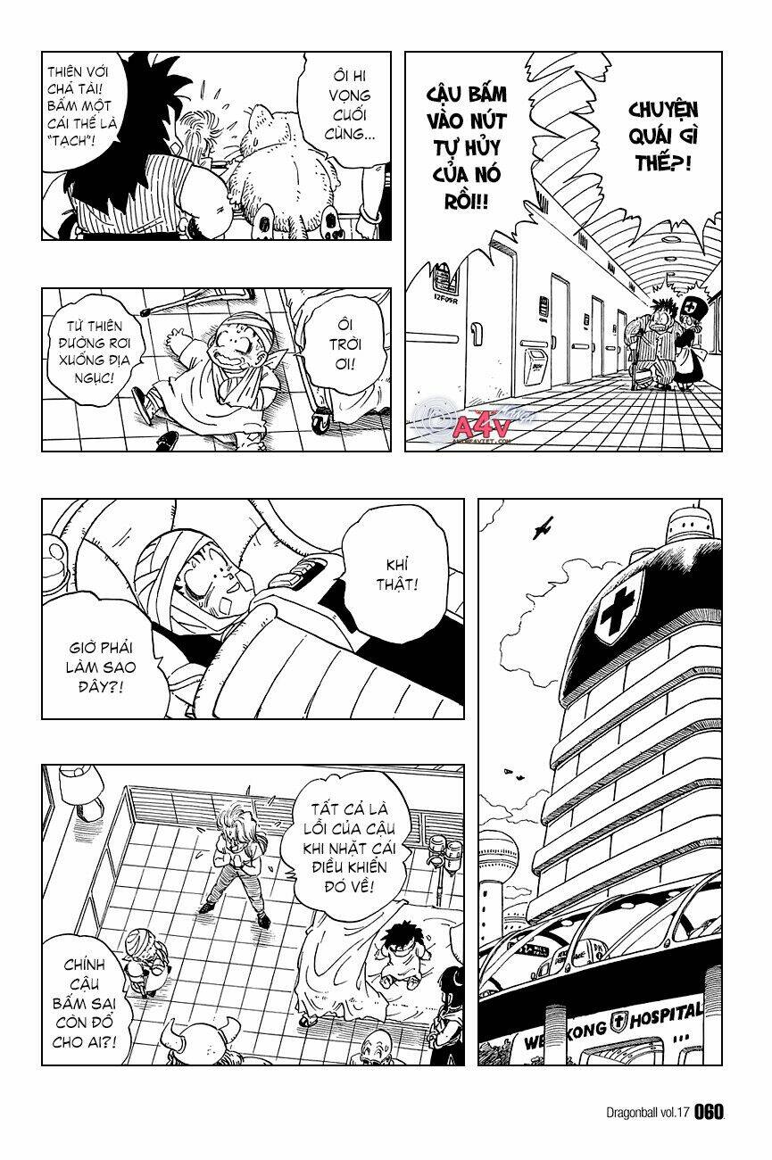 Dragon Ball – Bảy Viên Ngọc Rồng Chapter 243 - Trang 2