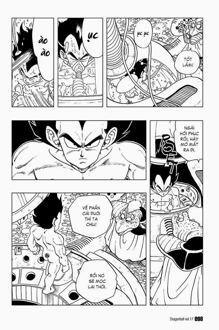 Dragon Ball – Bảy Viên Ngọc Rồng Chapter 246 - Trang 2