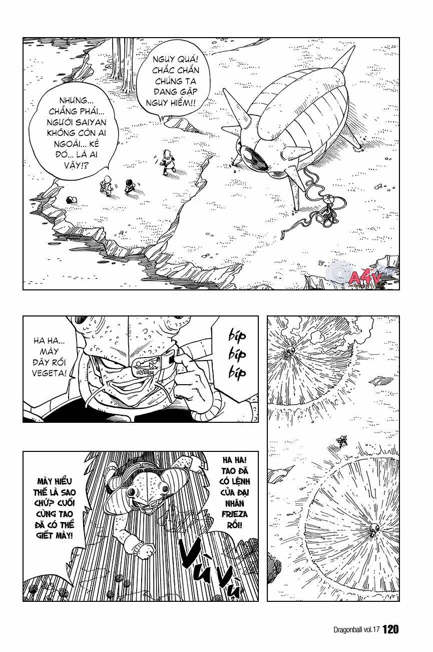 Dragon Ball – Bảy Viên Ngọc Rồng Chapter 248 - Trang 2