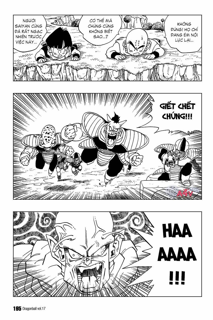 Dragon Ball – Bảy Viên Ngọc Rồng Chapter 253 - Trang 2