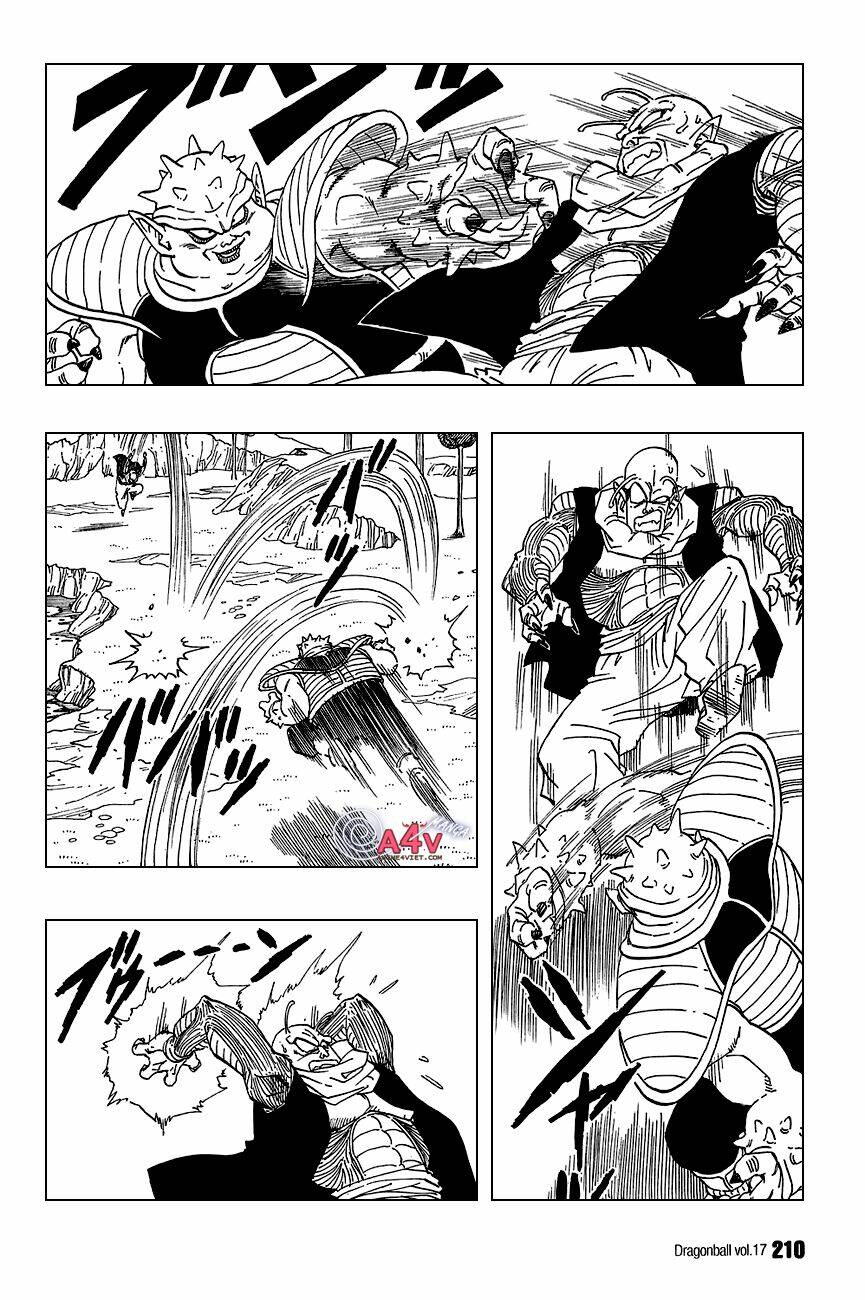 Dragon Ball – Bảy Viên Ngọc Rồng Chapter 254 - Trang 2