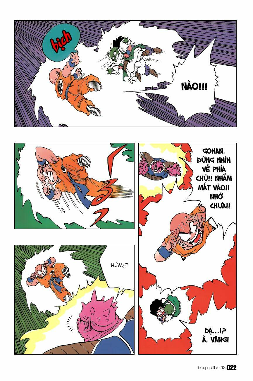 Dragon Ball – Bảy Viên Ngọc Rồng Chapter 256 - Trang 2