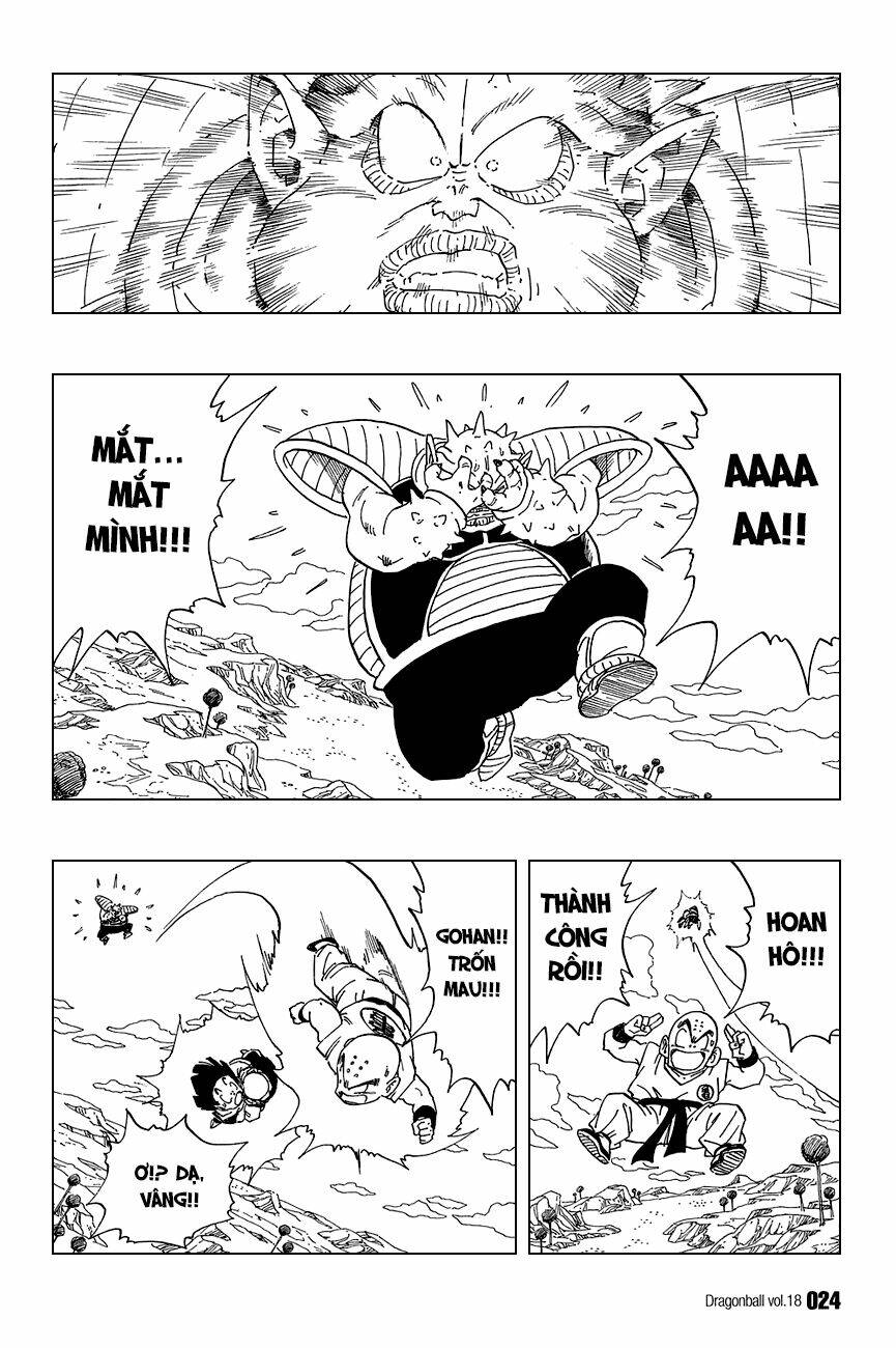Dragon Ball – Bảy Viên Ngọc Rồng Chapter 256 - Trang 2