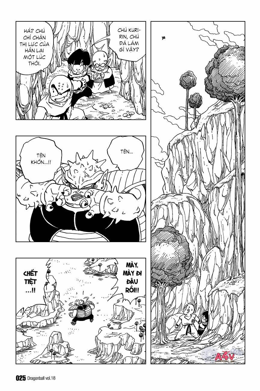 Dragon Ball – Bảy Viên Ngọc Rồng Chapter 256 - Trang 2