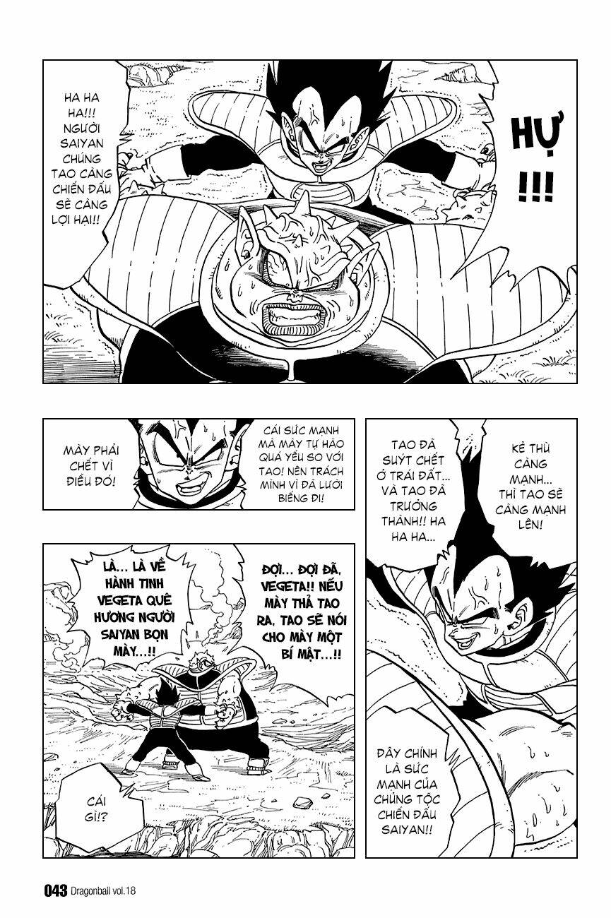 Dragon Ball – Bảy Viên Ngọc Rồng Chapter 257 - Trang 2