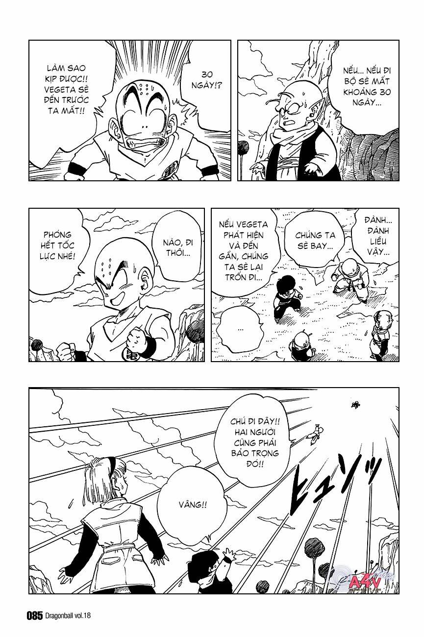 Dragon Ball – Bảy Viên Ngọc Rồng Chapter 260 - Trang 2
