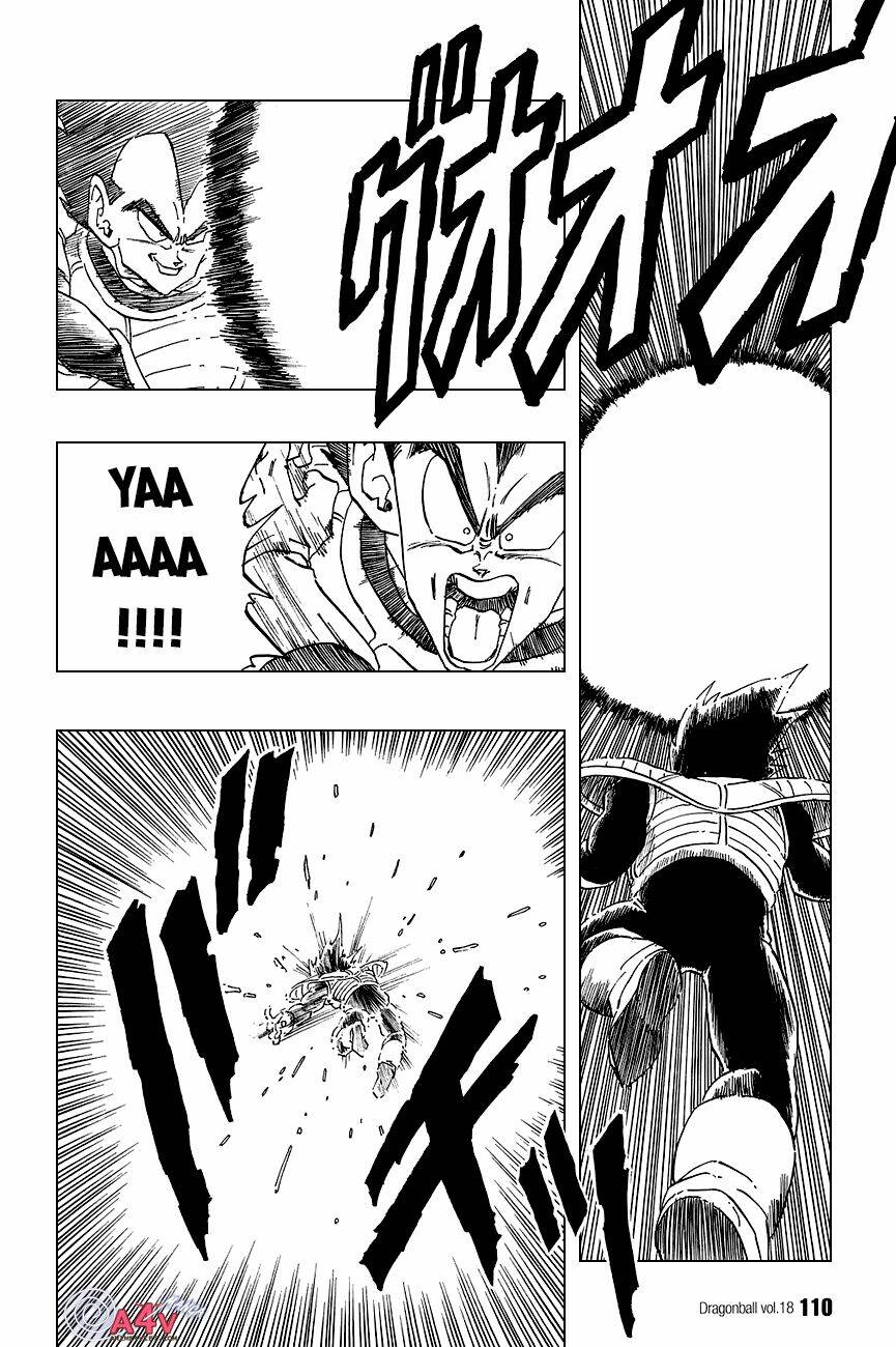 Dragon Ball – Bảy Viên Ngọc Rồng Chapter 262 - Trang 2