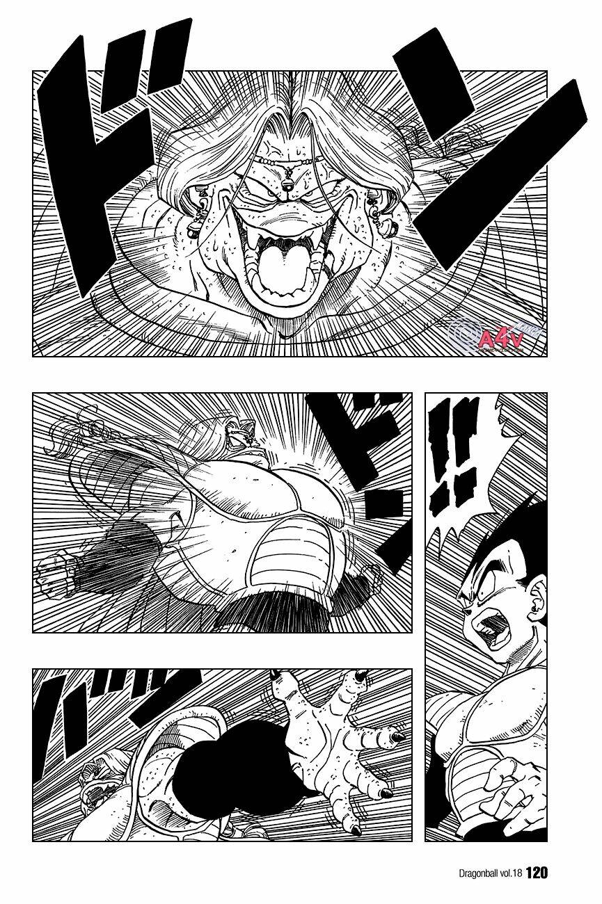 Dragon Ball – Bảy Viên Ngọc Rồng Chapter 263 - Trang 2
