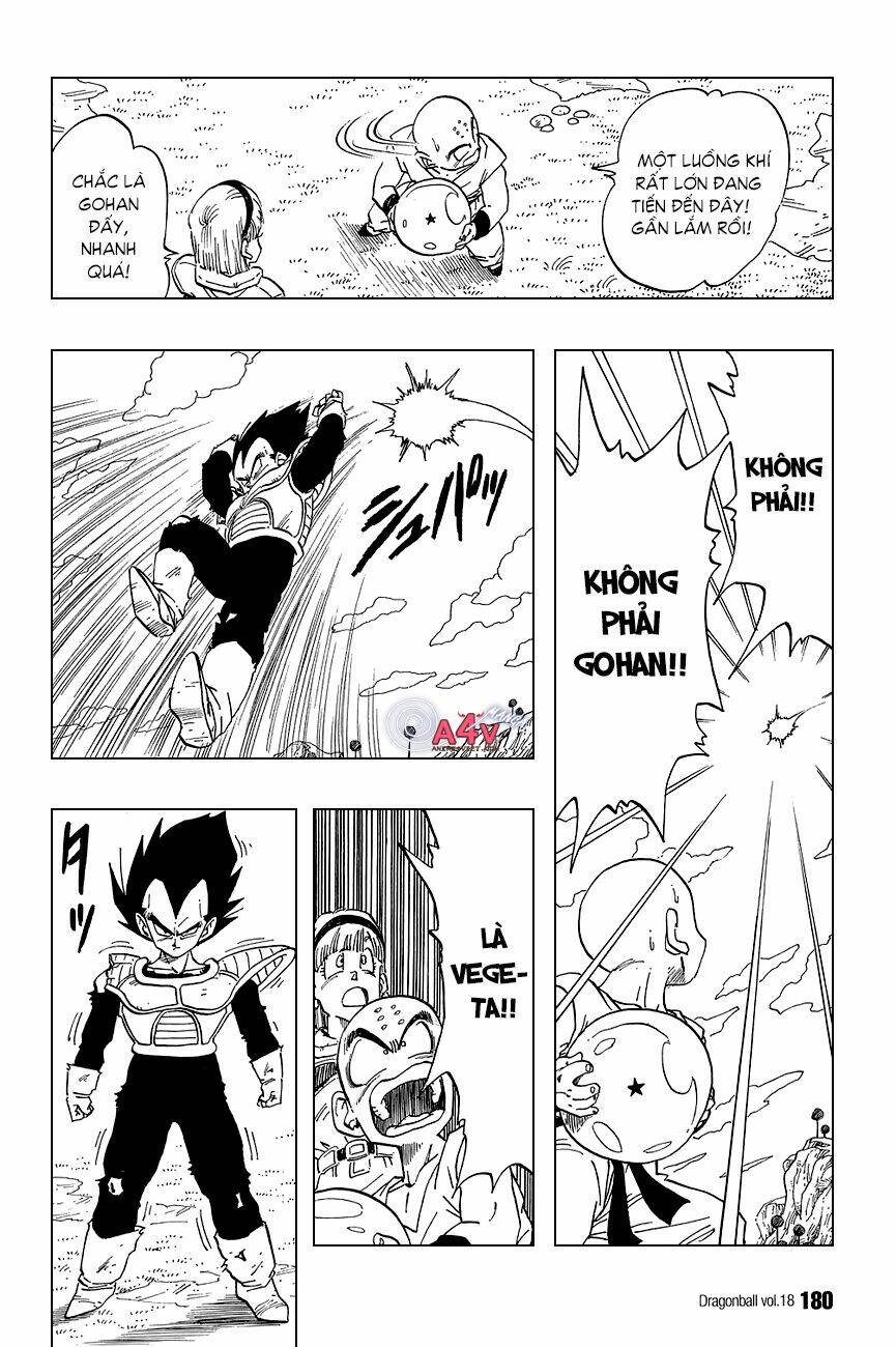 Dragon Ball – Bảy Viên Ngọc Rồng Chapter 267 - Trang 2