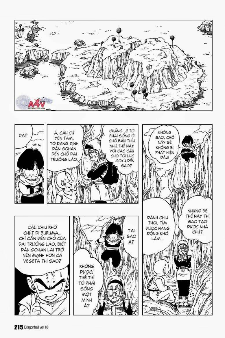 Dragon Ball – Bảy Viên Ngọc Rồng Chapter 269 - Trang 2