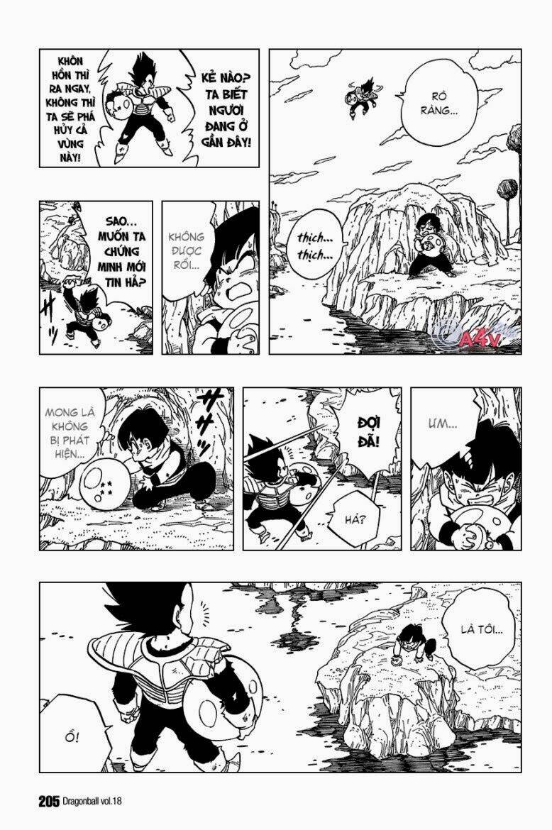 Dragon Ball – Bảy Viên Ngọc Rồng Chapter 269 - Trang 2