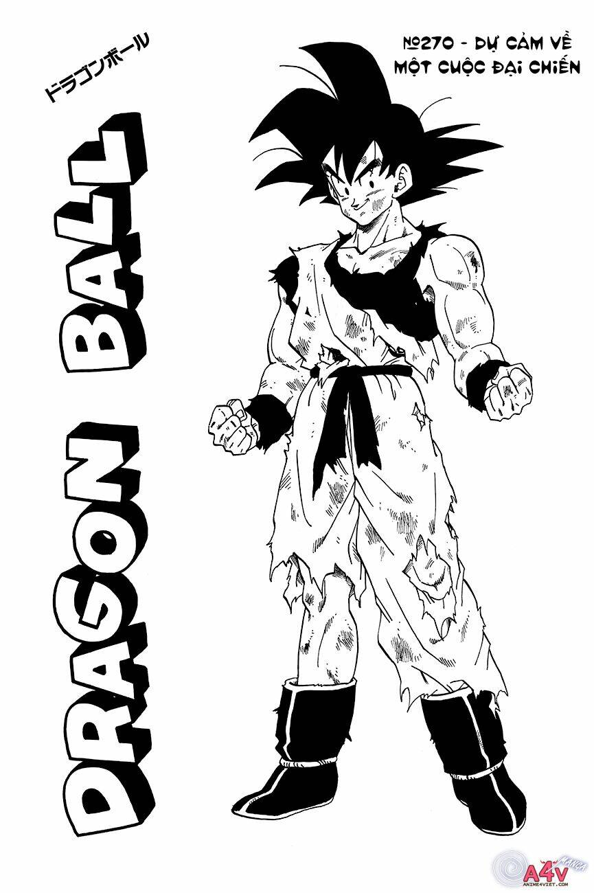Dragon Ball – Bảy Viên Ngọc Rồng Chapter 270 - Trang 2