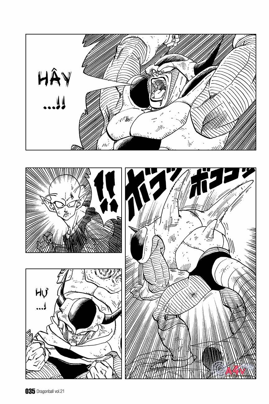 Dragon Ball – Bảy Viên Ngọc Rồng Chapter 302 - Trang 2