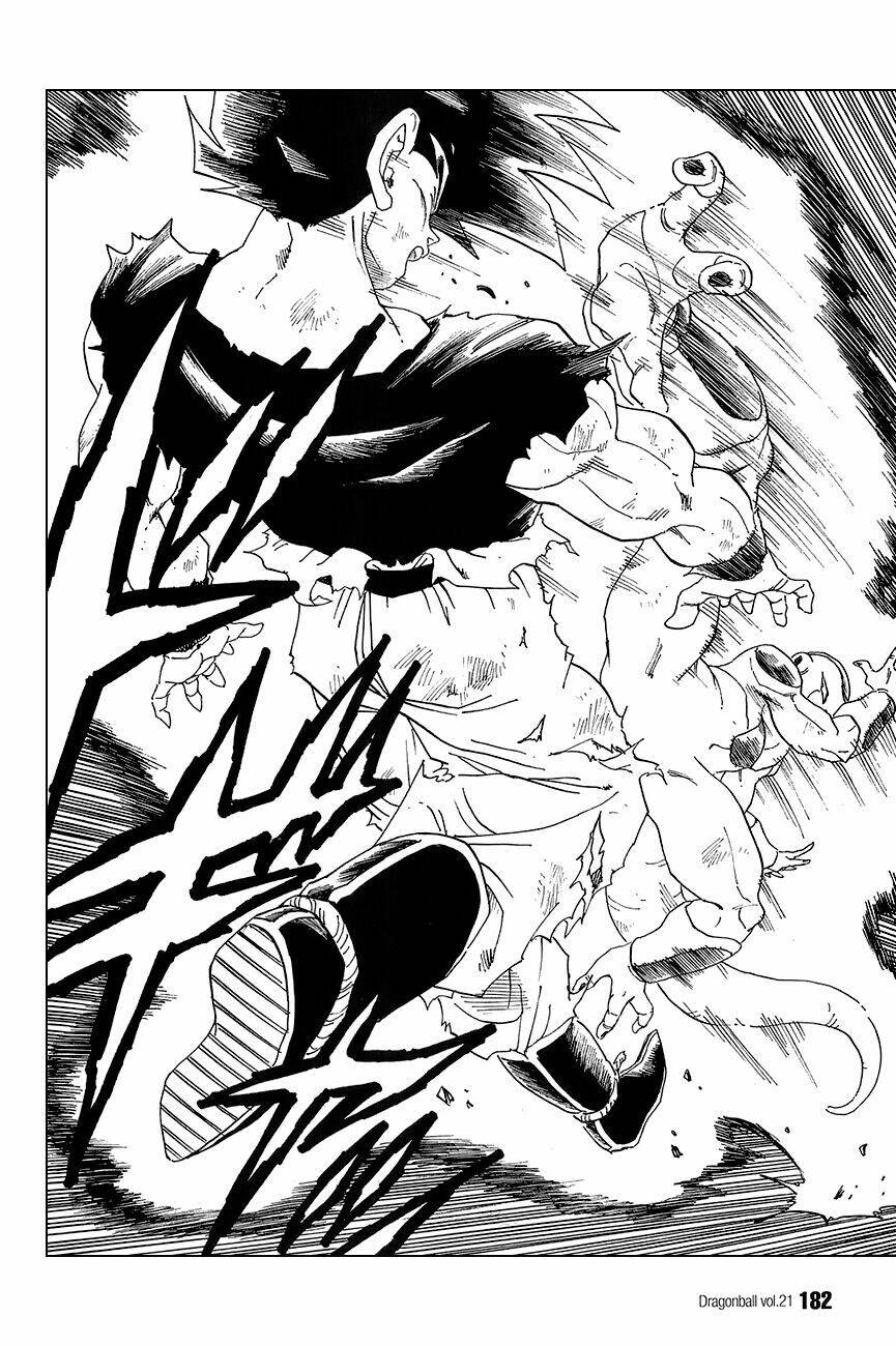 Dragon Ball – Bảy Viên Ngọc Rồng Chapter 312 - Trang 2